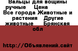 Вальцы для вощины ручные  › Цена ­ 10 000 - Все города Животные и растения » Другие животные   . Брянская обл.